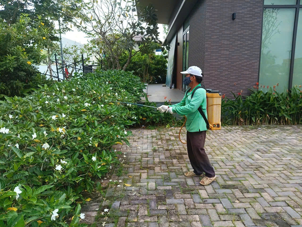 Bảo dưỡng, chăm sóc cây xanh tại Khu dân cư Nam Long II thuộc khu đô thị mới Nam Cần Thơ