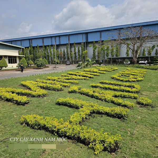 Thi công cảnh quan cây xanh tại nhà máy Minh Phú Hậu Giang