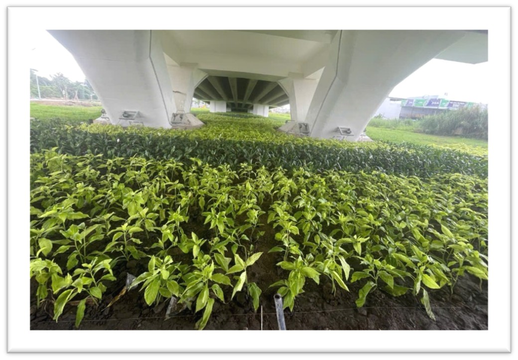 5+ Năm

kinh nghiệm
